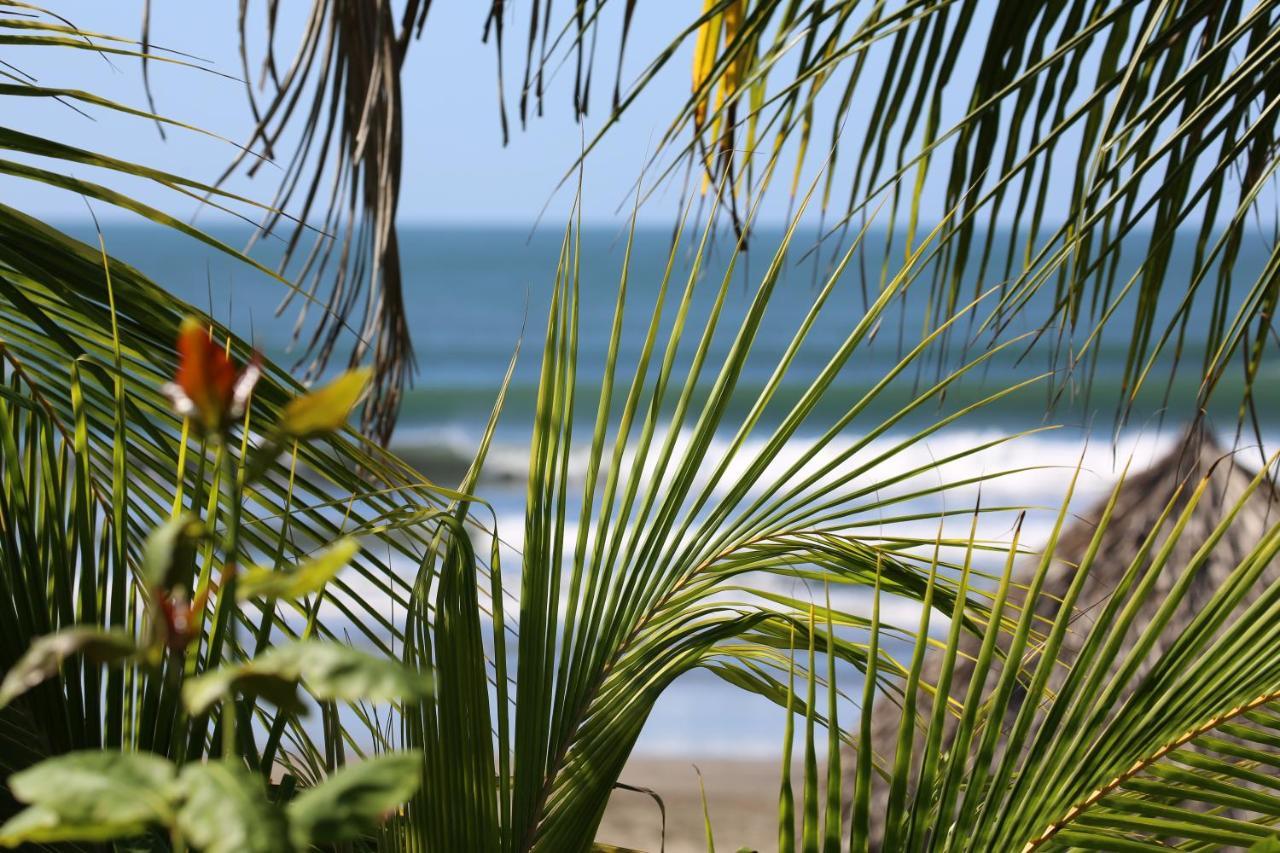 Готель Tapas & Surf Petacaltepe Екстер'єр фото