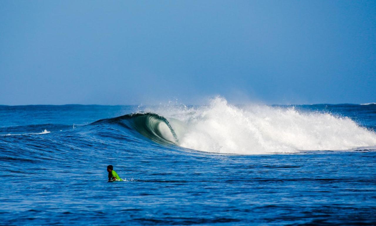 Готель Tapas & Surf Petacaltepe Екстер'єр фото